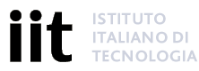 IIT